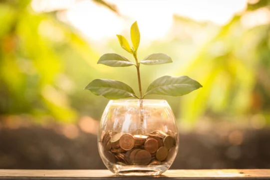 bocal avec des sous et une plante grandissante